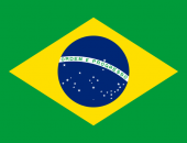 HƯỚNG DẪN KHAI BÁO C/O MẪU BR9 CỦA BRAZIL