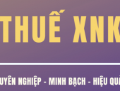 BIỂU THUẾ XUẤT NHẬP KHẨU 2021 (UPDATE LẦN 1)