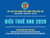 CẬP NHẬT FILE BIỂU THUẾ XNK NĂM 2020 (Bản cập nhật ngày 01/08/2020)
