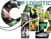 NHỮNG QUY ĐỊNH CỦA CITES VỀ THỦ TỤC XUẤT KHẨU DA CÁ SẤU