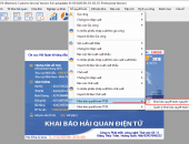 HƯỚNG DẪN KHAI BÁO BÁO CÁO QUYẾT TOÁN CHO CÁC LOẠI HÌNH GIA CÔNG-SẢN XUẤT XUẤT KHẨU-DNCX