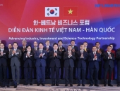 CƯỚC HÀNG XUẤT NHẬP TỪ KOREA VỀ HỖ CHÍ MINH - HỒ CHÍ MINH/HẢI PHÒNG ĐI KOREA ! 